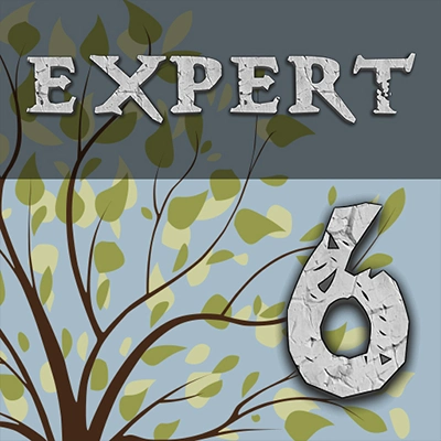 Enigmatica 6: Expert