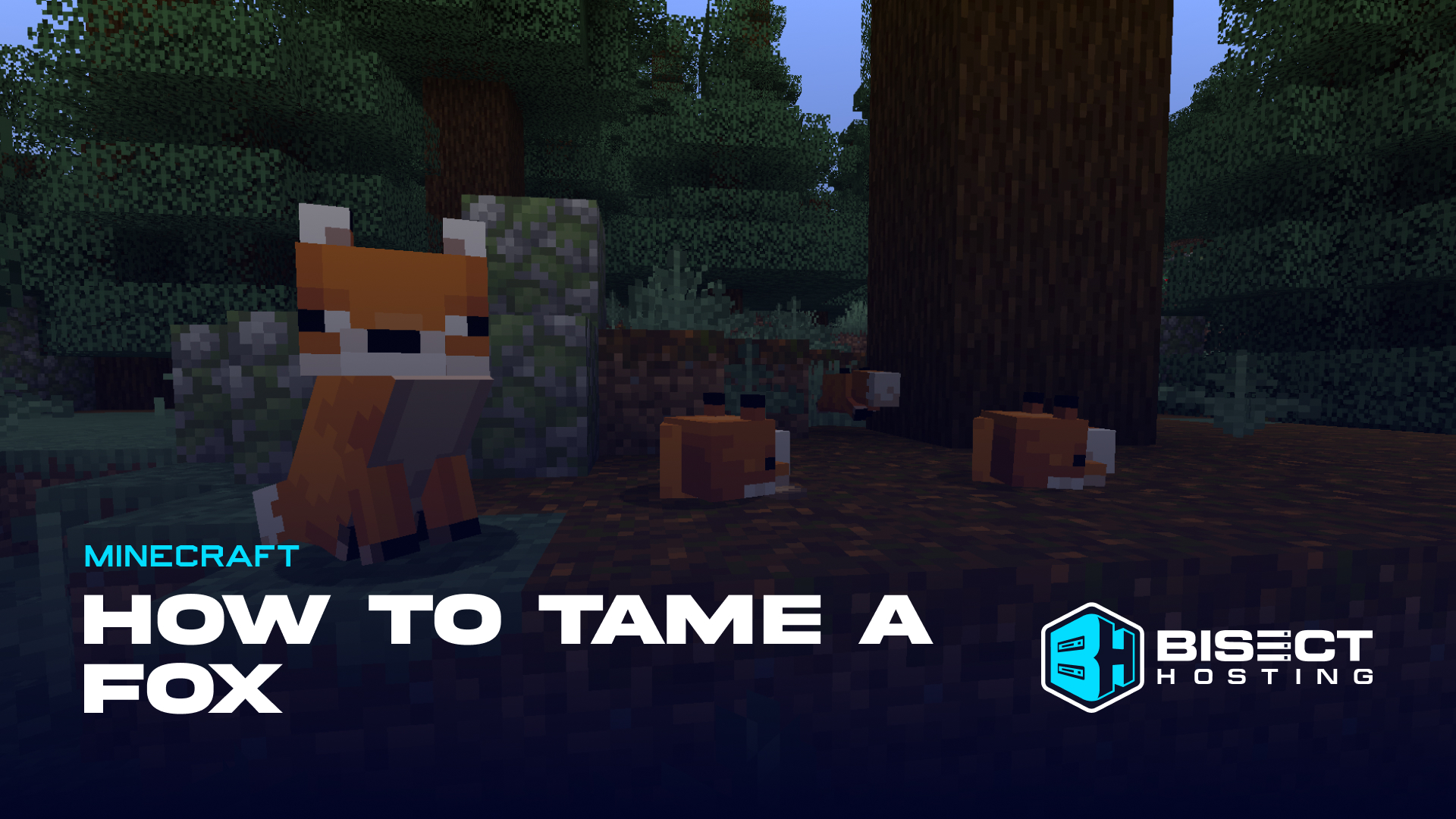 How to Tame a Fox in Minecraft