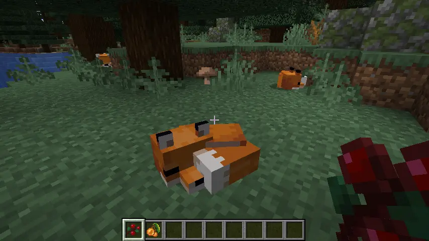 How to Tame a Fox in Minecraft: Fox Breeding Screenshot